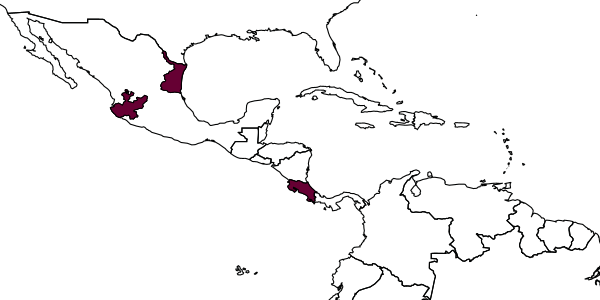 map of Xenarthron pectoralis     Kasparyan & Ruiz, 2005